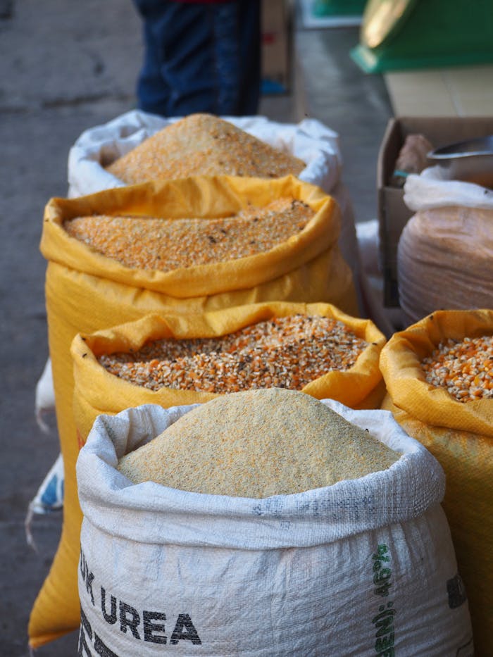 Colorful grains stored in large sacks at an outdoor market, showcasing abundance and variety.